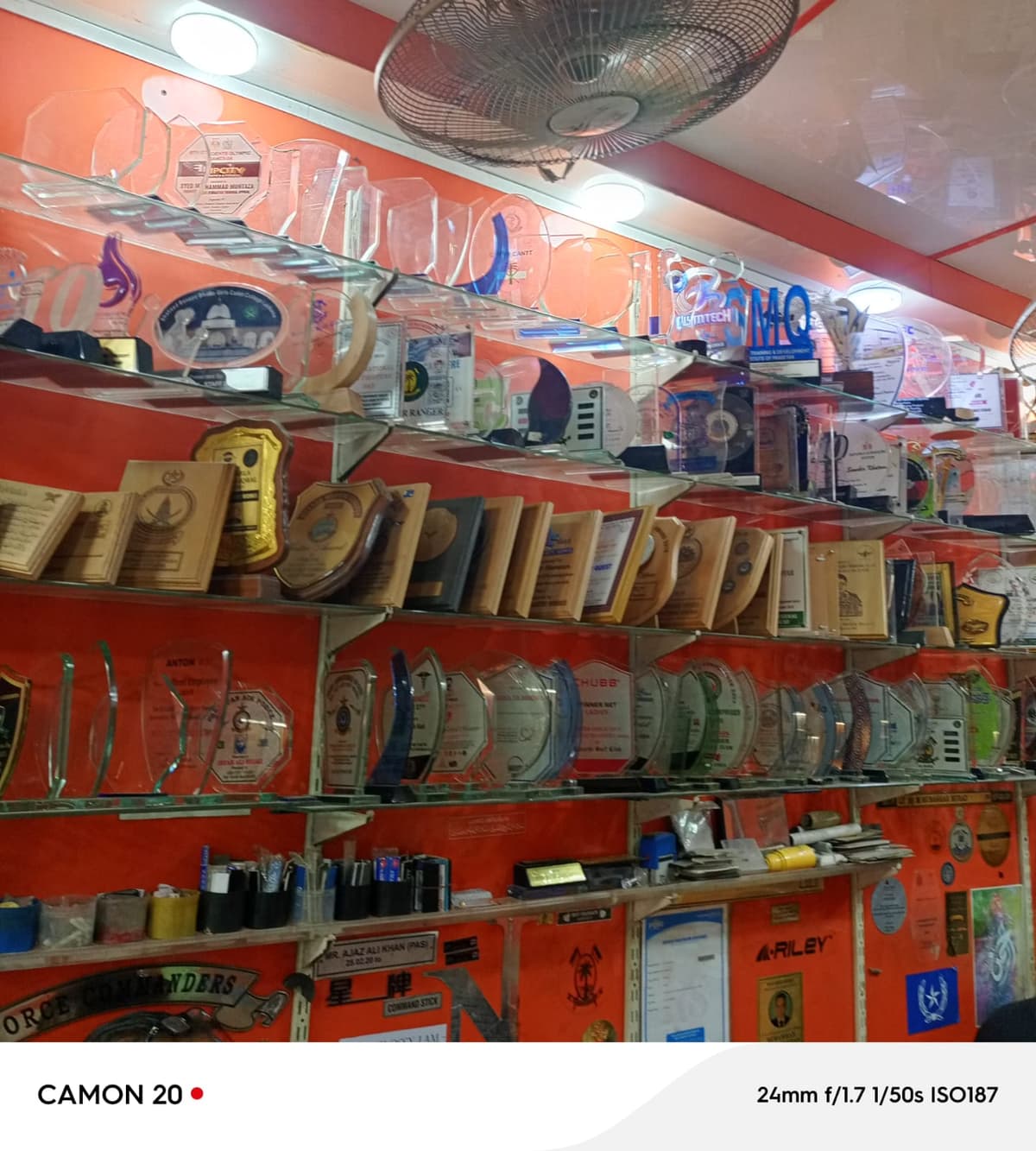 Awards & Trophies Display